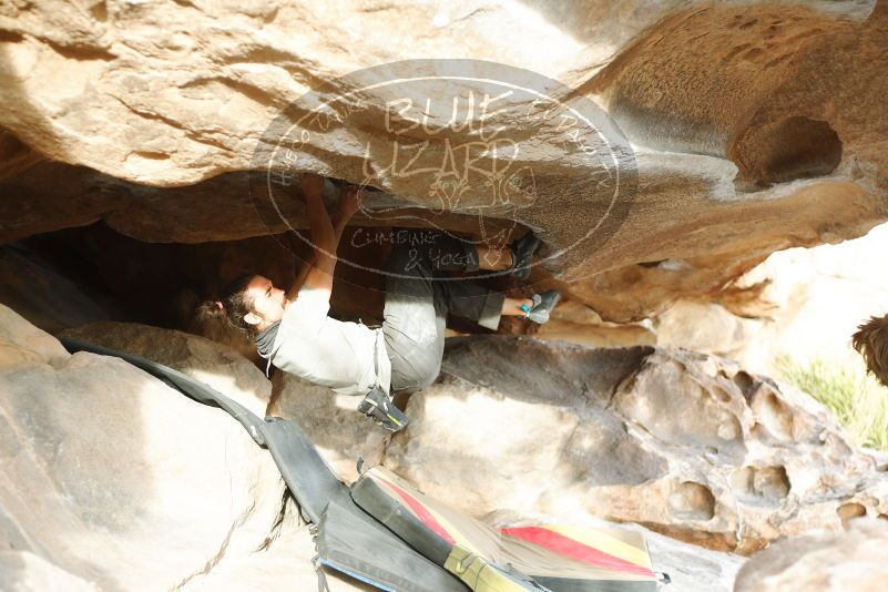 

Filename: SRM_20180108_1656050.jpg
Aperture: f/2.8
Shutter Speed: 1/250
Body: Canon EOS-1D Mark II
Lens: Canon EF 50mm f/1.8 II