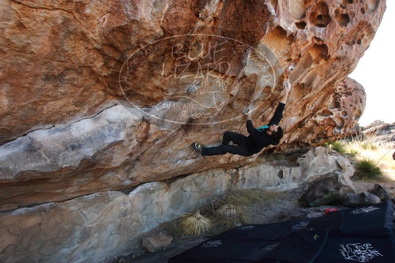 

Filename: SRM_20180109_1036010.jpg
Aperture: f/5.0
Shutter Speed: 1/400
Body: Canon EOS-1D Mark II
Lens: Canon EF 16-35mm f/2.8 L