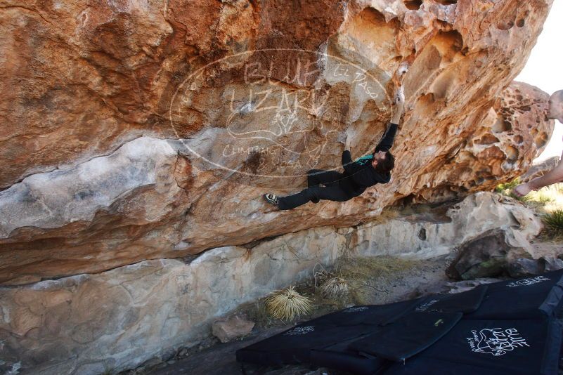 

Filename: SRM_20180109_1039190.jpg
Aperture: f/5.0
Shutter Speed: 1/320
Body: Canon EOS-1D Mark II
Lens: Canon EF 16-35mm f/2.8 L