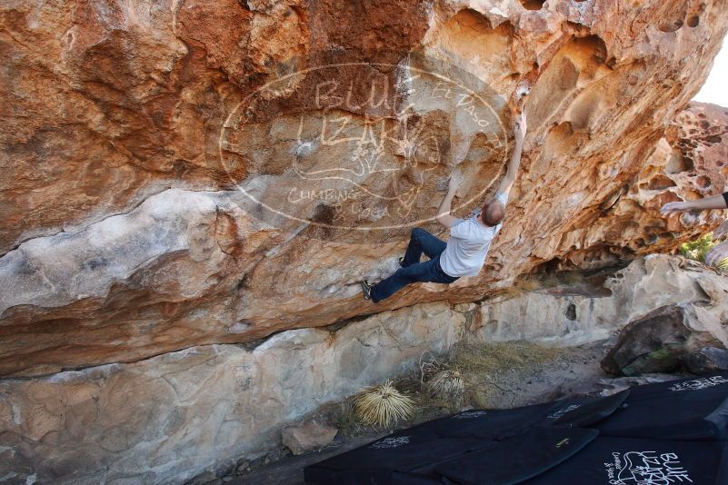 

Filename: SRM_20180109_1042130.jpg
Aperture: f/5.0
Shutter Speed: 1/320
Body: Canon EOS-1D Mark II
Lens: Canon EF 16-35mm f/2.8 L