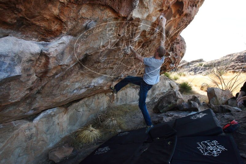 

Filename: SRM_20180109_1047440.jpg
Aperture: f/5.0
Shutter Speed: 1/400
Body: Canon EOS-1D Mark II
Lens: Canon EF 16-35mm f/2.8 L