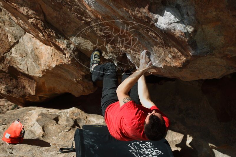 

Filename: SRM_20180109_1209130.jpg
Aperture: f/5.6
Shutter Speed: 1/250
Body: Canon EOS-1D Mark II
Lens: Canon EF 50mm f/1.8 II