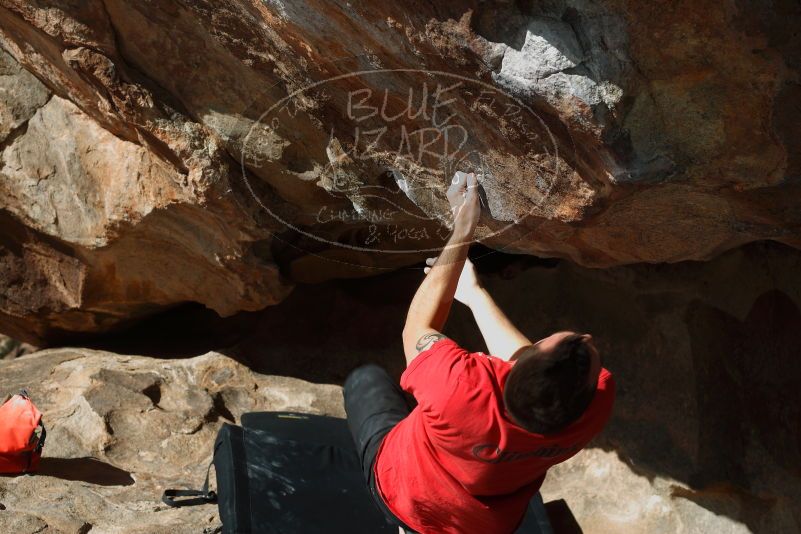 

Filename: SRM_20180109_1209190.jpg
Aperture: f/5.6
Shutter Speed: 1/250
Body: Canon EOS-1D Mark II
Lens: Canon EF 50mm f/1.8 II