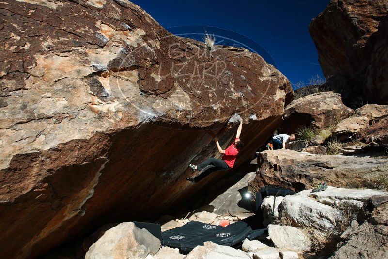 

Filename: SRM_20180109_1302090.jpg
Aperture: f/5.6
Shutter Speed: 1/250
Body: Canon EOS-1D Mark II
Lens: Canon EF 16-35mm f/2.8 L