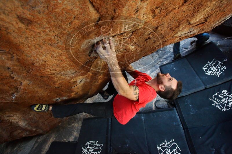 

Filename: SRM_20180109_1436071.jpg
Aperture: f/4.5
Shutter Speed: 1/250
Body: Canon EOS-1D Mark II
Lens: Canon EF 16-35mm f/2.8 L