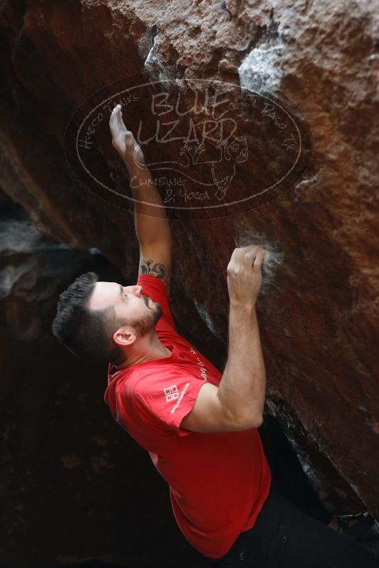 

Filename: SRM_20180109_1553241.jpg
Aperture: f/2.8
Shutter Speed: 1/250
Body: Canon EOS-1D Mark II
Lens: Canon EF 50mm f/1.8 II