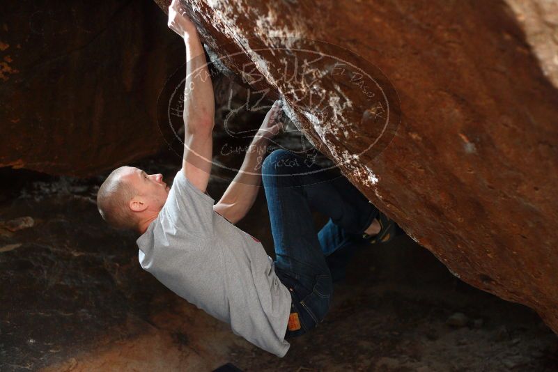 

Filename: SRM_20180109_1607271.jpg
Aperture: f/2.5
Shutter Speed: 1/250
Body: Canon EOS-1D Mark II
Lens: Canon EF 50mm f/1.8 II