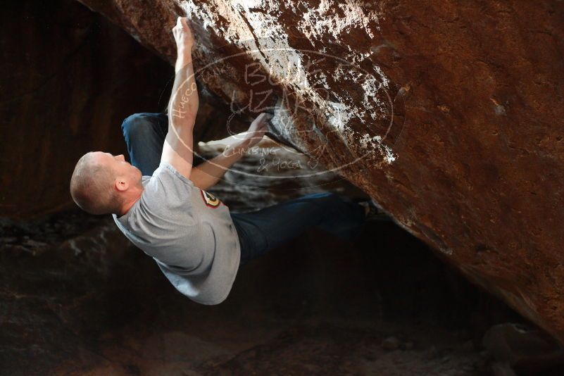 

Filename: SRM_20180109_1611540.jpg
Aperture: f/2.8
Shutter Speed: 1/250
Body: Canon EOS-1D Mark II
Lens: Canon EF 50mm f/1.8 II