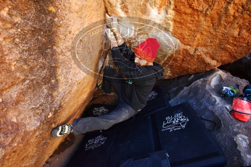 

Filename: SRM_20180111_1044310.jpg
Aperture: f/4.0
Shutter Speed: 1/250
Body: Canon EOS-1D Mark II
Lens: Canon EF 16-35mm f/2.8 L