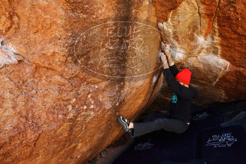 

Filename: SRM_20180111_1044350.jpg
Aperture: f/5.6
Shutter Speed: 1/250
Body: Canon EOS-1D Mark II
Lens: Canon EF 16-35mm f/2.8 L