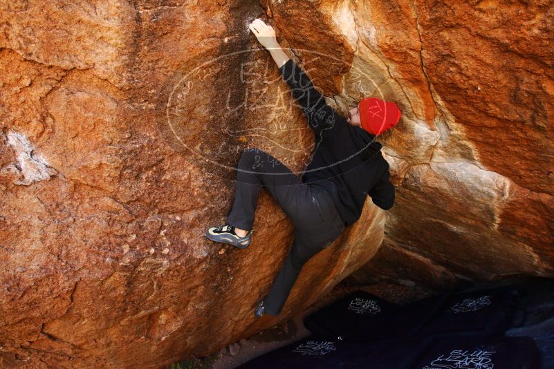 

Filename: SRM_20180111_1047490.jpg
Aperture: f/5.6
Shutter Speed: 1/250
Body: Canon EOS-1D Mark II
Lens: Canon EF 16-35mm f/2.8 L