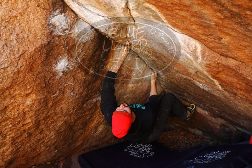 

Filename: SRM_20180111_1053350.jpg
Aperture: f/5.0
Shutter Speed: 1/250
Body: Canon EOS-1D Mark II
Lens: Canon EF 16-35mm f/2.8 L