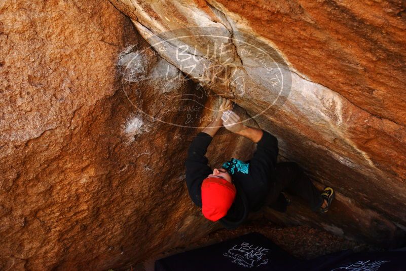 

Filename: SRM_20180111_1053380.jpg
Aperture: f/5.6
Shutter Speed: 1/250
Body: Canon EOS-1D Mark II
Lens: Canon EF 16-35mm f/2.8 L