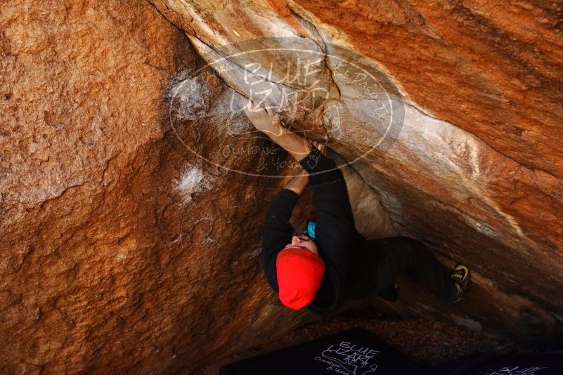 

Filename: SRM_20180111_1053381.jpg
Aperture: f/5.6
Shutter Speed: 1/250
Body: Canon EOS-1D Mark II
Lens: Canon EF 16-35mm f/2.8 L