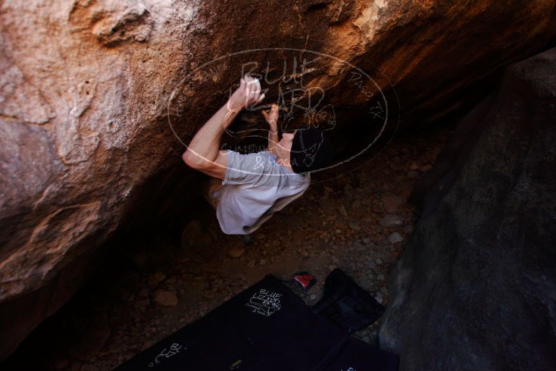 

Filename: SRM_20180111_1305141.jpg
Aperture: f/2.8
Shutter Speed: 1/250
Body: Canon EOS-1D Mark II
Lens: Canon EF 16-35mm f/2.8 L