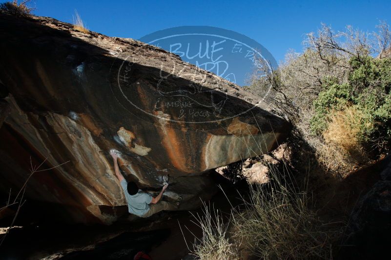 

Filename: SRM_20180111_1528390.jpg
Aperture: f/8.0
Shutter Speed: 1/250
Body: Canon EOS-1D Mark II
Lens: Canon EF 16-35mm f/2.8 L