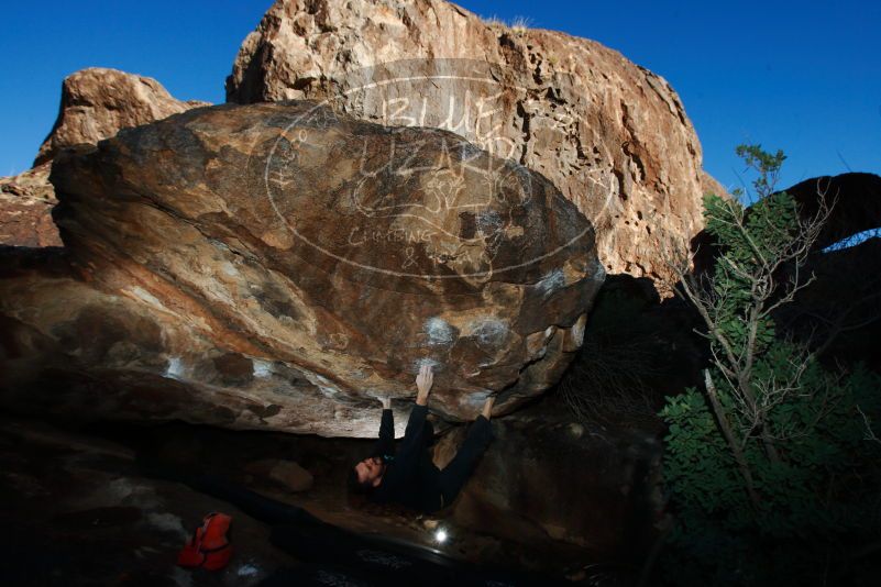 

Filename: SRM_20180111_1616390.jpg
Aperture: f/8.0
Shutter Speed: 1/250
Body: Canon EOS-1D Mark II
Lens: Canon EF 16-35mm f/2.8 L