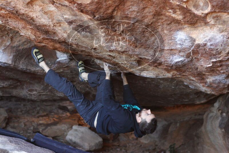 

Filename: SRM_20180111_1634540.jpg
Aperture: f/2.8
Shutter Speed: 1/320
Body: Canon EOS-1D Mark II
Lens: Canon EF 85mm f/1.2 L II