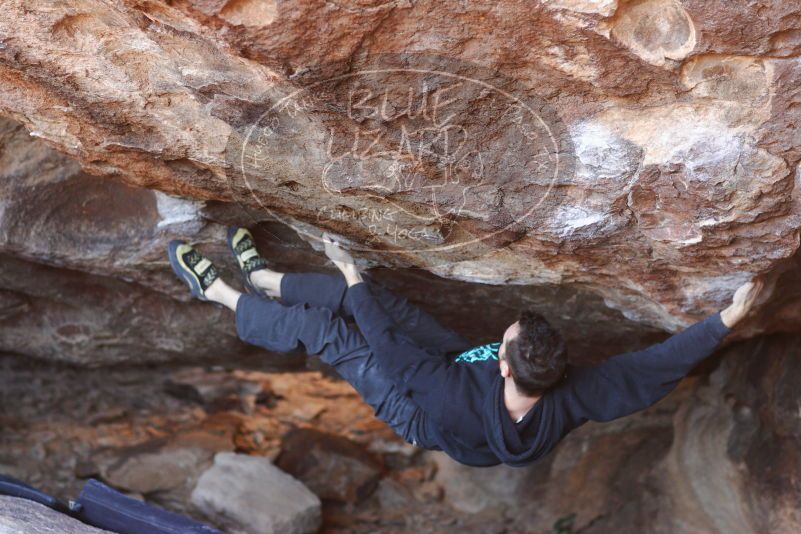 

Filename: SRM_20180111_1634560.jpg
Aperture: f/2.8
Shutter Speed: 1/250
Body: Canon EOS-1D Mark II
Lens: Canon EF 85mm f/1.2 L II