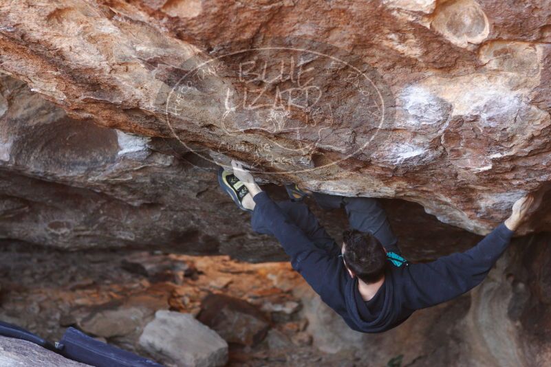 

Filename: SRM_20180111_1635000.jpg
Aperture: f/2.8
Shutter Speed: 1/250
Body: Canon EOS-1D Mark II
Lens: Canon EF 85mm f/1.2 L II