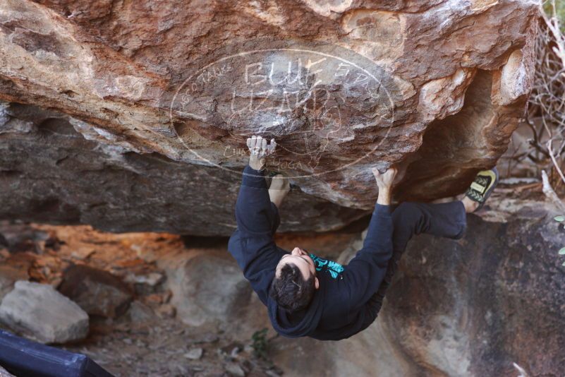 

Filename: SRM_20180111_1635090.jpg
Aperture: f/2.8
Shutter Speed: 1/250
Body: Canon EOS-1D Mark II
Lens: Canon EF 85mm f/1.2 L II