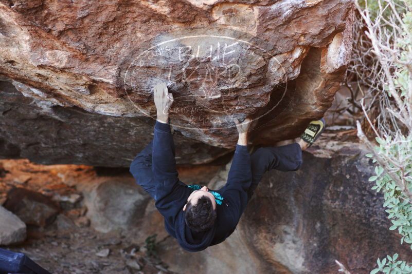 

Filename: SRM_20180111_1635100.jpg
Aperture: f/2.8
Shutter Speed: 1/250
Body: Canon EOS-1D Mark II
Lens: Canon EF 85mm f/1.2 L II