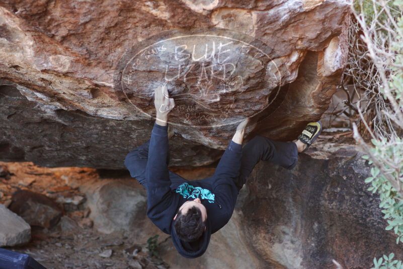 

Filename: SRM_20180111_1635120.jpg
Aperture: f/2.8
Shutter Speed: 1/250
Body: Canon EOS-1D Mark II
Lens: Canon EF 85mm f/1.2 L II