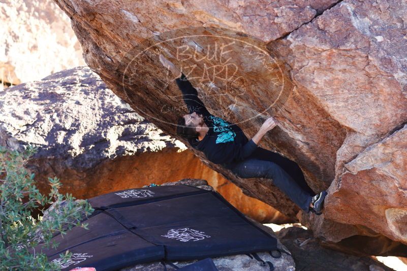 

Filename: SRM_20180111_1703230.jpg
Aperture: f/2.8
Shutter Speed: 1/250
Body: Canon EOS-1D Mark II
Lens: Canon EF 85mm f/1.2 L II