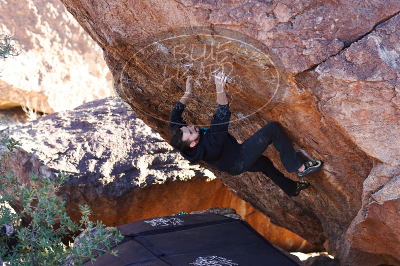 

Filename: SRM_20180111_1703310.jpg
Aperture: f/2.8
Shutter Speed: 1/320
Body: Canon EOS-1D Mark II
Lens: Canon EF 85mm f/1.2 L II