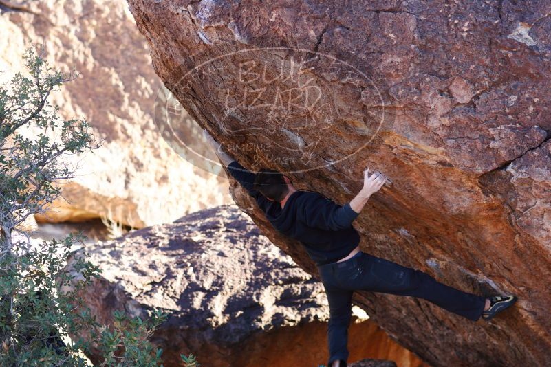 

Filename: SRM_20180111_1703370.jpg
Aperture: f/2.8
Shutter Speed: 1/400
Body: Canon EOS-1D Mark II
Lens: Canon EF 85mm f/1.2 L II