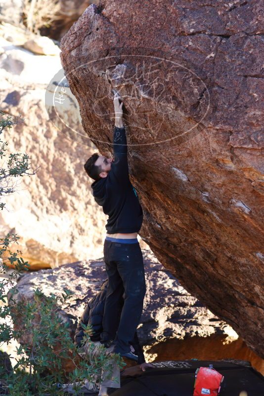 

Filename: SRM_20180111_1717150.jpg
Aperture: f/2.8
Shutter Speed: 1/400
Body: Canon EOS-1D Mark II
Lens: Canon EF 85mm f/1.2 L II