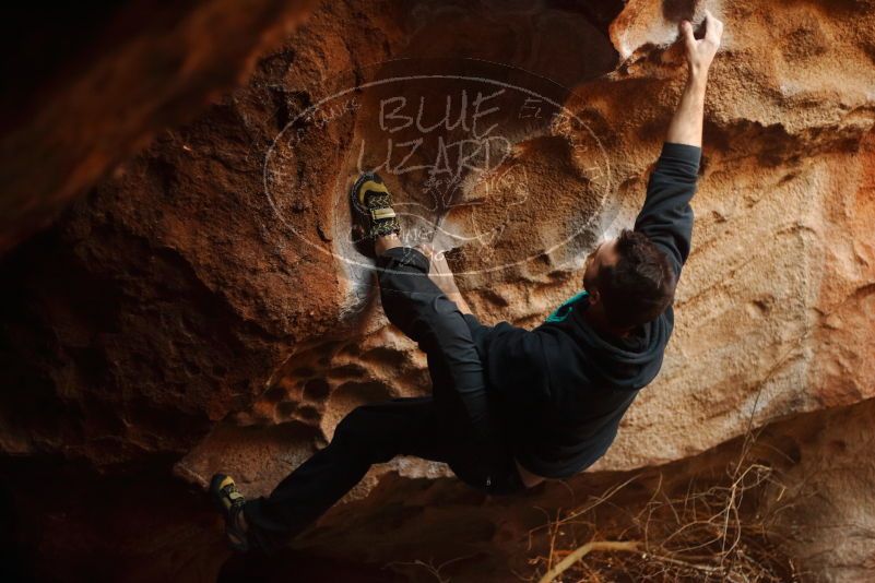 

Filename: SRM_20180111_1751200.jpg
Aperture: f/2.0
Shutter Speed: 1/250
Body: Canon EOS-1D Mark II
Lens: Canon EF 50mm f/1.8 II