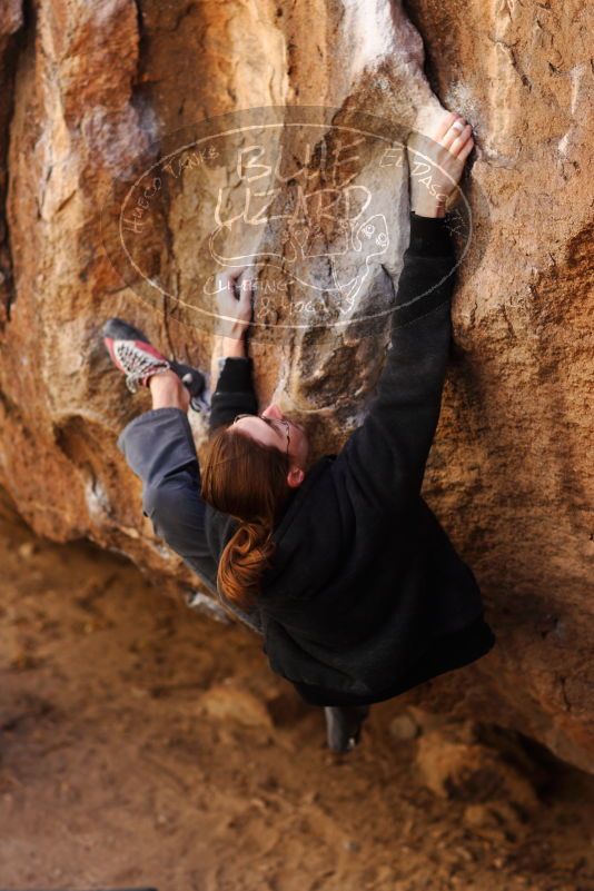 

Filename: SRM_20180113_1120010.jpg
Aperture: f/2.8
Shutter Speed: 1/250
Body: Canon EOS-1D Mark II
Lens: Canon EF 85mm f/1.2 L II