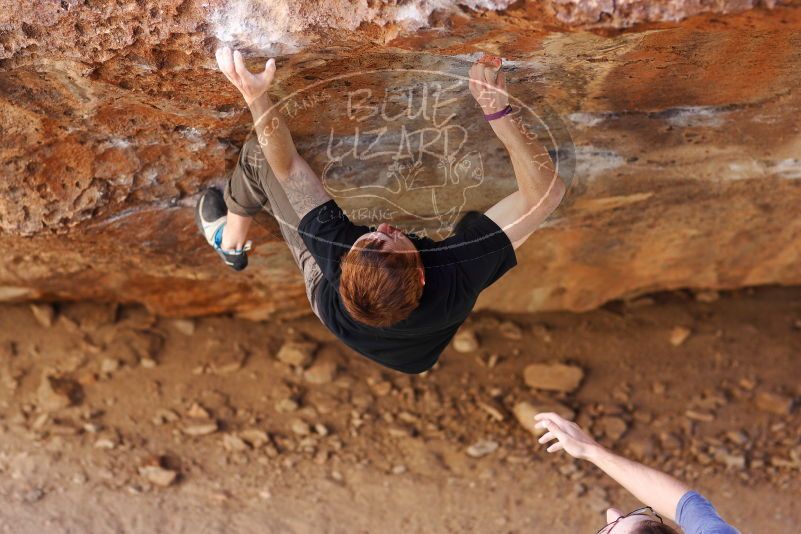 

Filename: SRM_20180113_1133441.jpg
Aperture: f/2.8
Shutter Speed: 1/320
Body: Canon EOS-1D Mark II
Lens: Canon EF 85mm f/1.2 L II