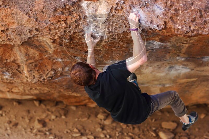 

Filename: SRM_20180113_1133510.jpg
Aperture: f/2.8
Shutter Speed: 1/320
Body: Canon EOS-1D Mark II
Lens: Canon EF 85mm f/1.2 L II