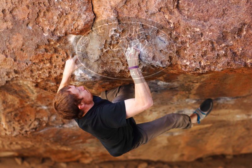 

Filename: SRM_20180113_1133550.jpg
Aperture: f/2.8
Shutter Speed: 1/320
Body: Canon EOS-1D Mark II
Lens: Canon EF 85mm f/1.2 L II