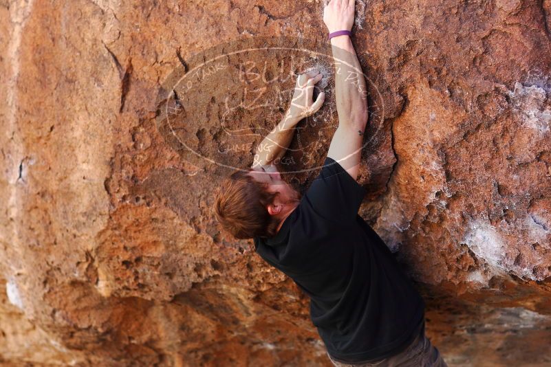 

Filename: SRM_20180113_1134000.jpg
Aperture: f/2.8
Shutter Speed: 1/500
Body: Canon EOS-1D Mark II
Lens: Canon EF 85mm f/1.2 L II