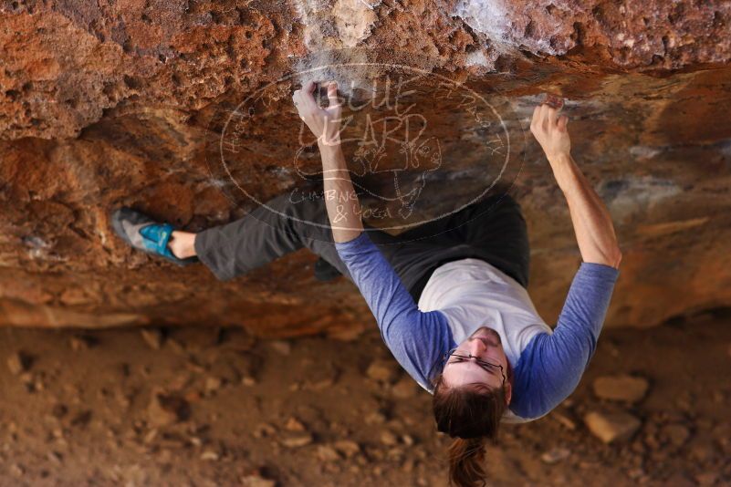 

Filename: SRM_20180113_1142550.jpg
Aperture: f/2.8
Shutter Speed: 1/500
Body: Canon EOS-1D Mark II
Lens: Canon EF 85mm f/1.2 L II