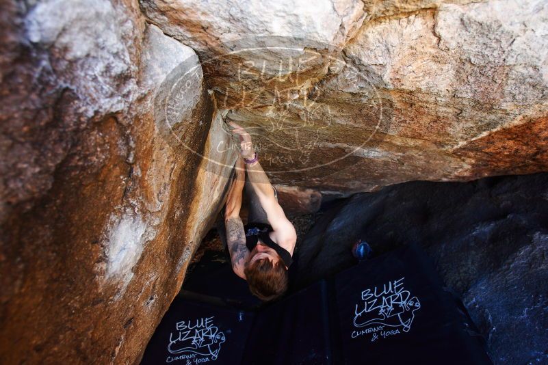 

Filename: SRM_20180113_1332590.jpg
Aperture: f/4.0
Shutter Speed: 1/250
Body: Canon EOS-1D Mark II
Lens: Canon EF 16-35mm f/2.8 L