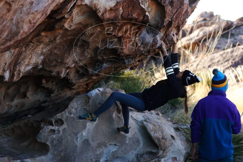 

Filename: SRM_20180120_1002510.jpg
Aperture: f/3.5
Shutter Speed: 1/500
Body: Canon EOS-1D Mark II
Lens: Canon EF 85mm f/1.2 L II