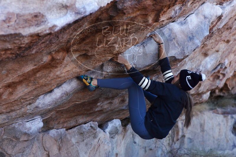 

Filename: SRM_20180120_1036230.jpg
Aperture: f/4.0
Shutter Speed: 1/320
Body: Canon EOS-1D Mark II
Lens: Canon EF 85mm f/1.2 L II