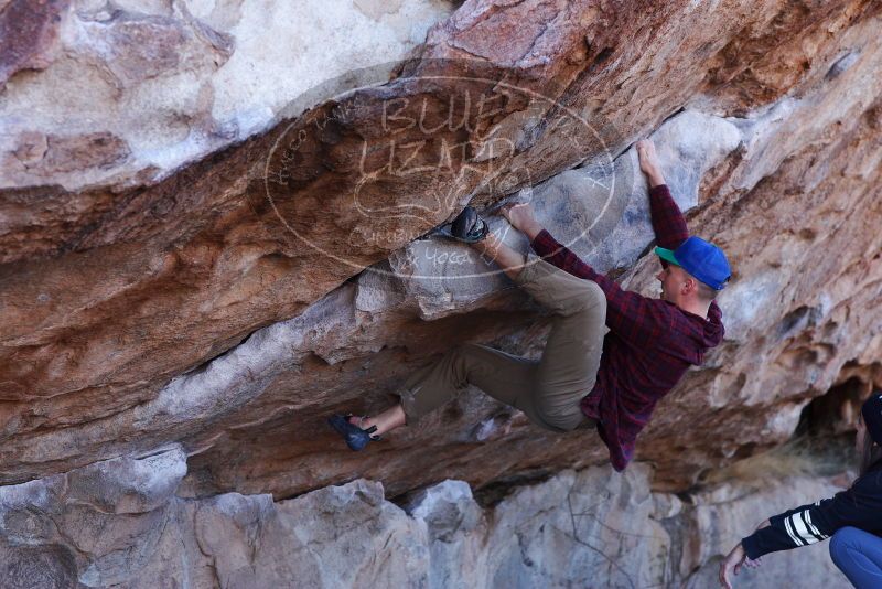 

Filename: SRM_20180120_1042210.jpg
Aperture: f/4.0
Shutter Speed: 1/400
Body: Canon EOS-1D Mark II
Lens: Canon EF 85mm f/1.2 L II