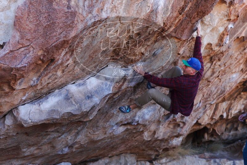 

Filename: SRM_20180120_1042570.jpg
Aperture: f/4.0
Shutter Speed: 1/400
Body: Canon EOS-1D Mark II
Lens: Canon EF 85mm f/1.2 L II