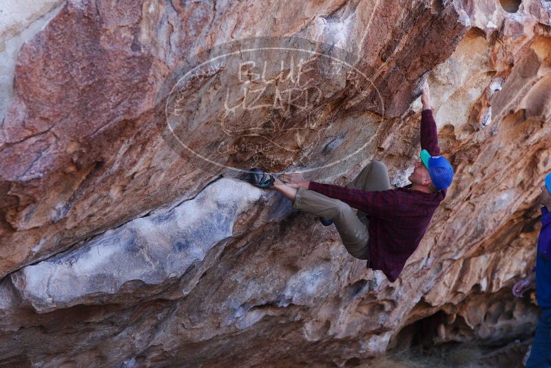 

Filename: SRM_20180120_1042580.jpg
Aperture: f/4.0
Shutter Speed: 1/500
Body: Canon EOS-1D Mark II
Lens: Canon EF 85mm f/1.2 L II