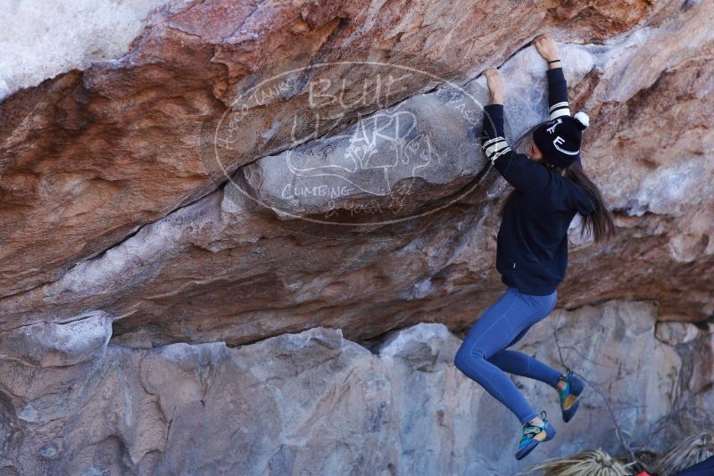 

Filename: SRM_20180120_1046270.jpg
Aperture: f/4.0
Shutter Speed: 1/400
Body: Canon EOS-1D Mark II
Lens: Canon EF 85mm f/1.2 L II