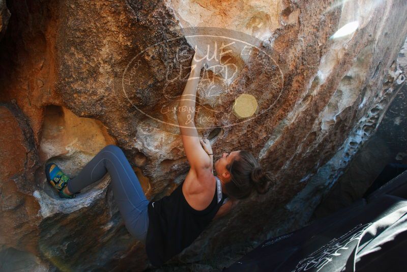 

Filename: SRM_20180120_1340130.jpg
Aperture: f/5.6
Shutter Speed: 1/250
Body: Canon EOS-1D Mark II
Lens: Canon EF 16-35mm f/2.8 L