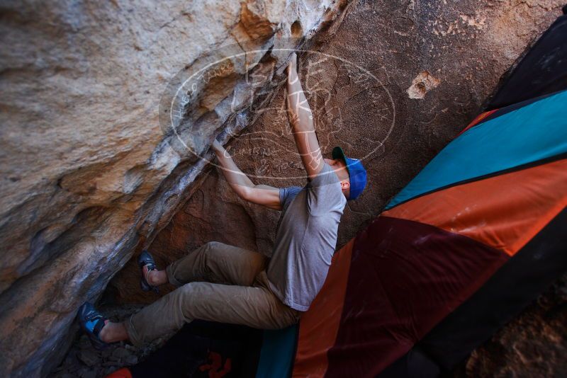 

Filename: SRM_20180120_1423380.jpg
Aperture: f/3.2
Shutter Speed: 1/250
Body: Canon EOS-1D Mark II
Lens: Canon EF 16-35mm f/2.8 L