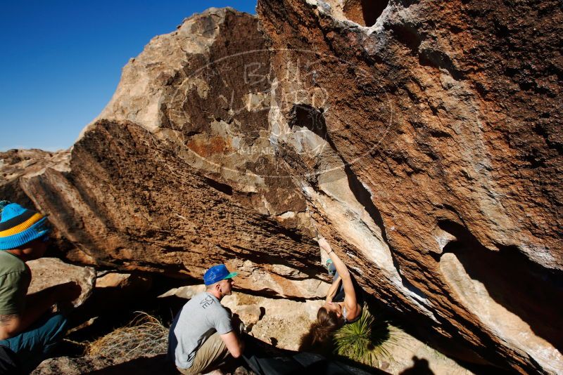 

Filename: SRM_20180120_1439040.jpg
Aperture: f/8.0
Shutter Speed: 1/250
Body: Canon EOS-1D Mark II
Lens: Canon EF 16-35mm f/2.8 L