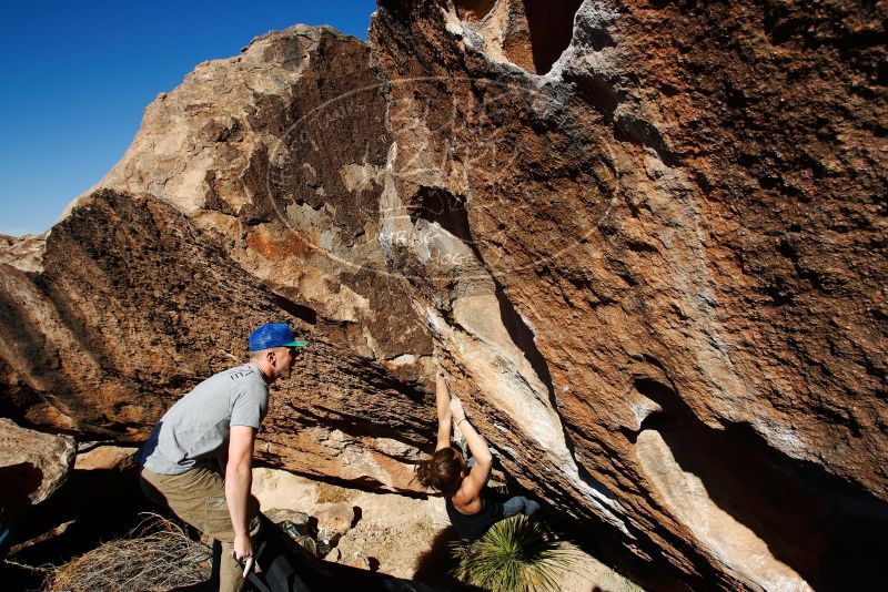 

Filename: SRM_20180120_1439090.jpg
Aperture: f/8.0
Shutter Speed: 1/250
Body: Canon EOS-1D Mark II
Lens: Canon EF 16-35mm f/2.8 L