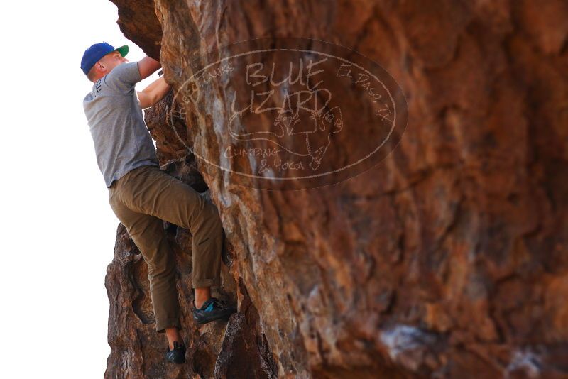 

Filename: SRM_20180120_1527250.jpg
Aperture: f/4.0
Shutter Speed: 1/500
Body: Canon EOS-1D Mark II
Lens: Canon EF 85mm f/1.2 L II